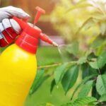 آفت‌کش‌ها میکروب‌های مفید روده‌ را به خطر می‌اندازند