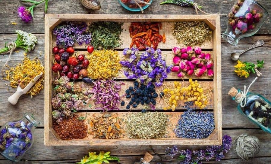 لیست گیاهان دارویی در عطاری