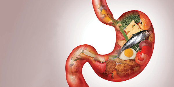 متهمان شماره یک رشد سرطانهای گوارشی در کشور 0 تا 100 درباره سرطان دستگاه گوارش + علائم و روش های تشخیص