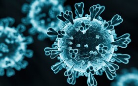 واکنش معاون وزیر بهداشت به اخبار «کرونای تیغی»￼