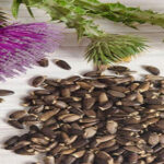 خارمریم با این ترکیبات برای درمان بیماری کبد خوب است