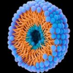 وقتی حباب‌ها به سرطان حمله می‌کنند