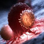 کشف پروتئینی که رشد سرطان را کُند می‌کند