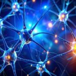 کشف یک زبان پنهان در مغز