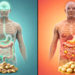آجیل واقعاً دوست سلامتی ماست یا دشمن پنهان کالری؟