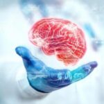 بازگشت به جوانی با رژیم غذایی؛ کشف «سطل زباله هوشمند» در مغز انسان