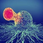 روشی جدید برای درمان سرطان بدون عوارض جانبی