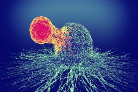 روشی جدید برای درمان سرطان بدون عوارض جانبی