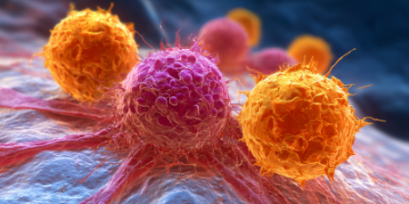 سرطان از این ۶ میوه متنفر است؛ برای مبارزه با آن، این میوه‌ها را بخورید!