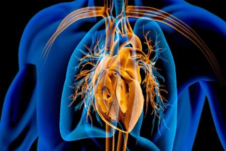 فواید داروی لاغری پرمصرف این روزها برای قلب