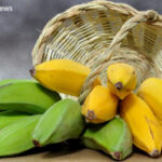 مصرف موز سبز بهتر است یا زرد؟ مقایسه جامع فواید و تفاوت‌ها