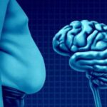 چربی می‌تواند مغز را کوچک کند