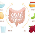 چهار گروه غذایی کلیدی برای ترمیم روده و مهار التهاب مزمن