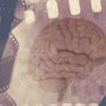 کشف ارتباط آلزایمر با «حالت بازپخش» مغز