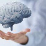 ۴ ماده غذایی که مغز شما را قوی نگه می‌دارند