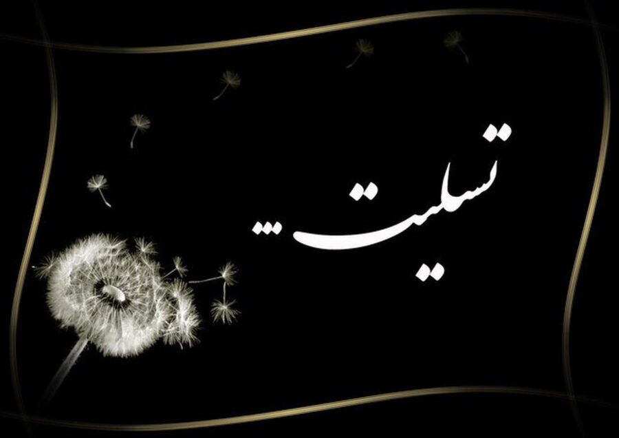 شهادت دانشجوی پزشکی در بمباران میدان انقلاب