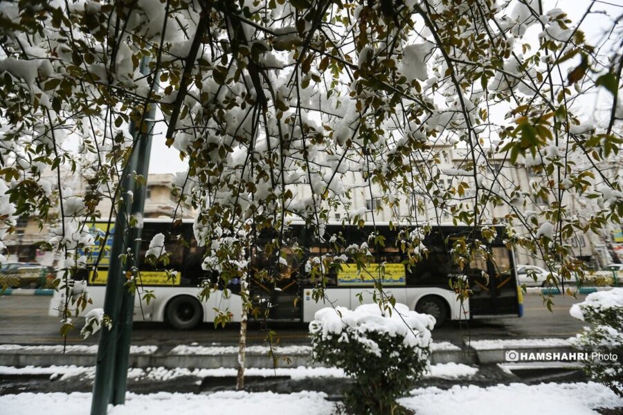 هواشناسی هشدار داد/ بارش‌ها تا پایان هفته در اغلب مناطق ادامه دارد