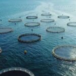 آزمایشگاه تشخیص بیماری‌های آبزیان در چهارمحال‌وبختیاری آغاز به کار کرد