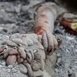 آمار دانش‌آموزان مجروح و شهید شده در جنگ چهل روزه اعلام شد