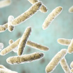 ابداع روشی کم‌هزینه برای شناسایی باکتری‌های مقاوم به آنتی بیوتیک