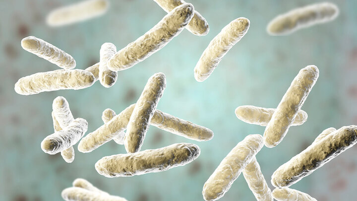 ابداع روشی کم‌هزینه برای شناسایی باکتری‌های مقاوم به آنتی بیوتیک