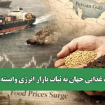 امنیت غذایی جهان به ثبات بازار انرژی وابسته است