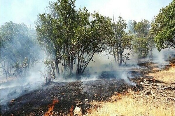 برنامه ریزی برای پیشگیری از آتش سوزی در ۱۲۰ هزار از جنگل های دهلران