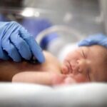 تاثیر مصرف زیاد آنتی اکسیدان ها بر رشد صورت و مغز جنین