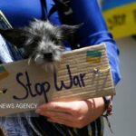 تجمع اعتراضی در واشنگتن علیه جنگ با ایران، لبنان و فلسطین