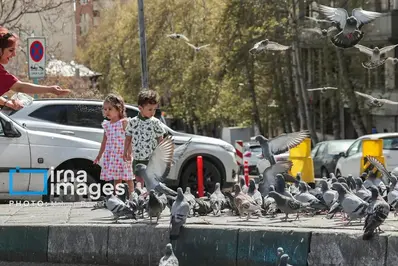 تصاویر خاص از تهران پس از آتش‌بس+ عکس