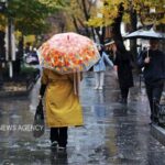 داداشی: طبق پیش‌بینی‌ها شاهد بارش‌های خوبی در خراسان شمالی بودیم