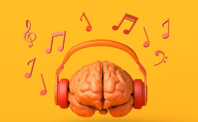 مغز انسان موسیقی را به صورت فیزیکی تجسم می‌کند