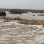 هماهنگی با ترکمنستان برای یافتن راننده تراکتور گرفتار سیل کلات