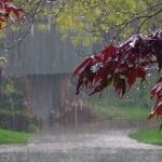 پیش‌بینی بارش باران و کاهش دما در تهران از فردا