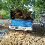 کشف چوب قاچاق در بابل