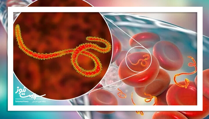 ابولا و هانتاویروس؛ جهان برای همه‌گیری بعدی آماده است؟