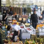 طرح تشدید نظارت بر کالاهای کشاورزی کلید خورد/ ۳۱ هزار پرونده تخلف در ۱۴۰۴