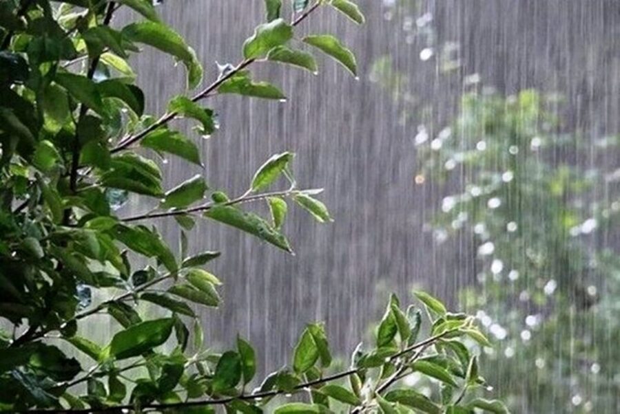 هواشناسی هشدار داد/ باران و رعدوبرق در تهران و شمال غرب کشور