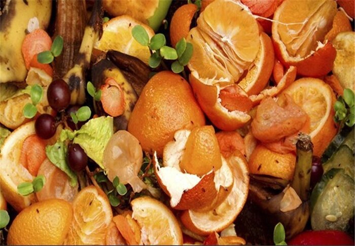 آشپزی بدون دورریز؛ راهکاری ساده برای کاهش هزینه‌های خانوار