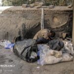 از سم‌زدایی تا اشتغال؛ نسخه جدید برای درمان اعتیاد
