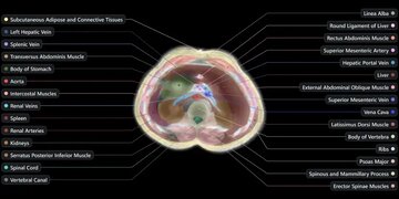 اسکن بدن بدون نیاز به دستگاه MRI / پروژه بلندپروازانه «میدجرنی مدیکال»