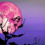 تاریخ دقیق رویت ماه توت فرنگی تیر ۱۴۰۵/ فرصت تماشای ماه را از دست ندهید