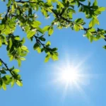 هشدار هواشناسی به ساکنان این استان ها/ گرمای بی‌سابقه در راه است