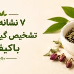 تشخیص گیاه با کیفیت