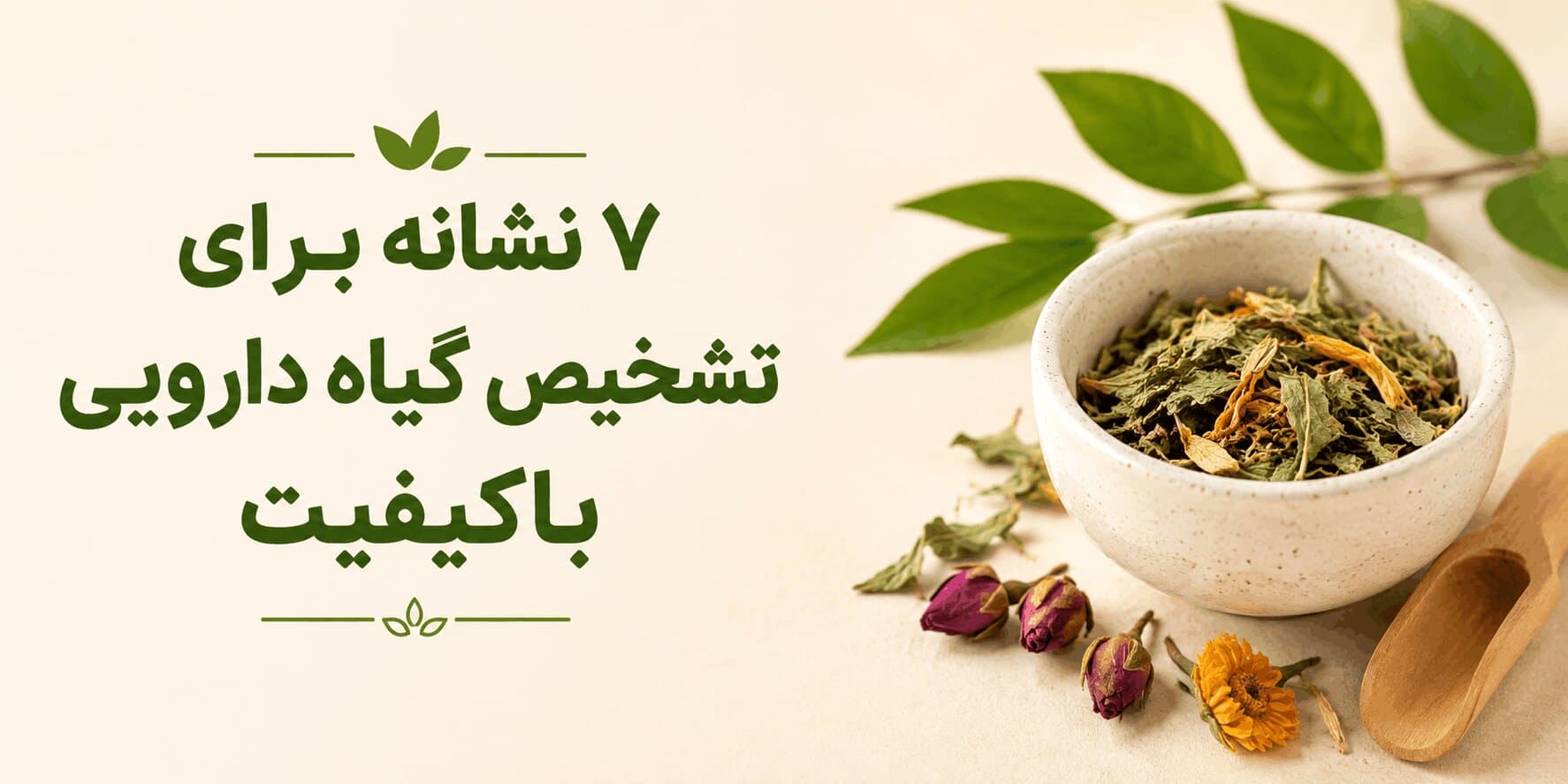 تشخیص گیاه با کیفیت