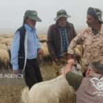ارائه خدمات جهادی دامپزشکی به عشایر ایرندگان خاش