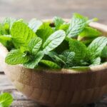 این گیاه معطر می‌تواند به سلامت گوارش و آرامش بدن کمک کند