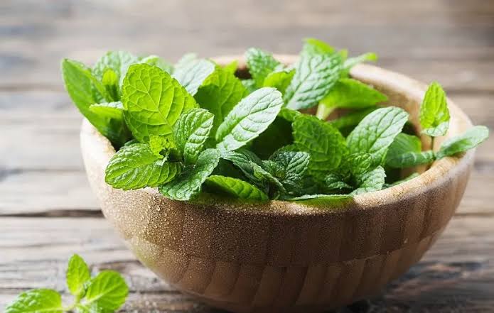 این گیاه معطر می‌تواند به سلامت گوارش و آرامش بدن کمک کند
