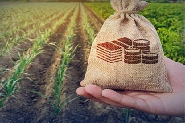 بانوان خراسان شمالی؛ مطالباتی که برای استاندار سرمشق میشود بانوان خراسان شمالی؛ مطالباتی که برای استاندار سرمشق میشود