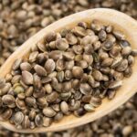 شاهدانه در مقابل دانه کتان؛ بهتر است کدام‌یک را مصرف کنیم؟